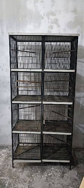 Birds cage 0