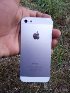 iphone 5s