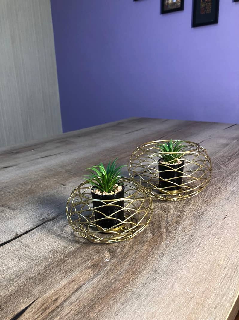 Elegant Indoor Décor Plant for Modern Spaces 3