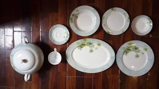 Brand New Imported Royal Doulton Dinner Set 35 peces 0