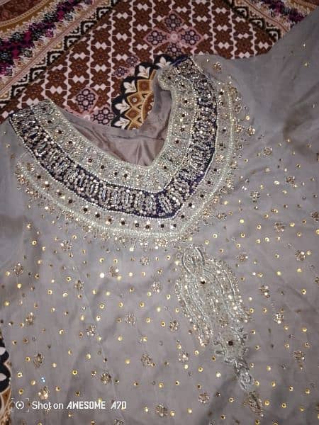 walima maxci 1