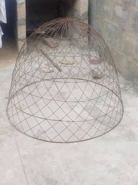 murgiyon ka cage  for sale 1