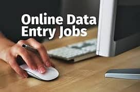 Females and Males Online part time home based data typing job availab