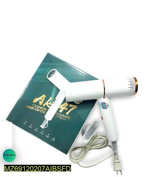 Professional Hair Dryer 1