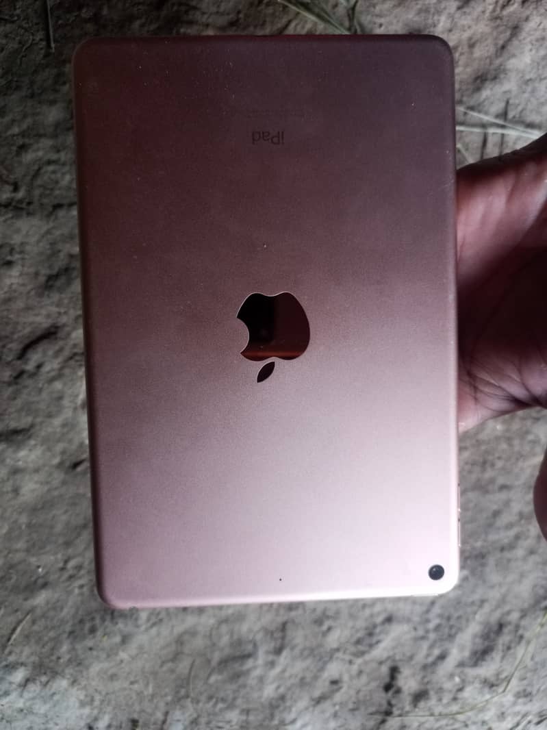 ipad mini5 10/10 1