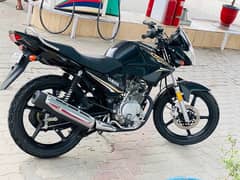 YAMAHA YBR 125 2024 zero meter 800 km drive