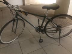 selling bicycle