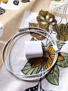 apple original charger