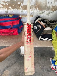 hard ball cricket bat