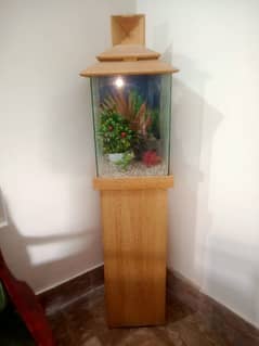 Fish Aquarium 5 feet above hight