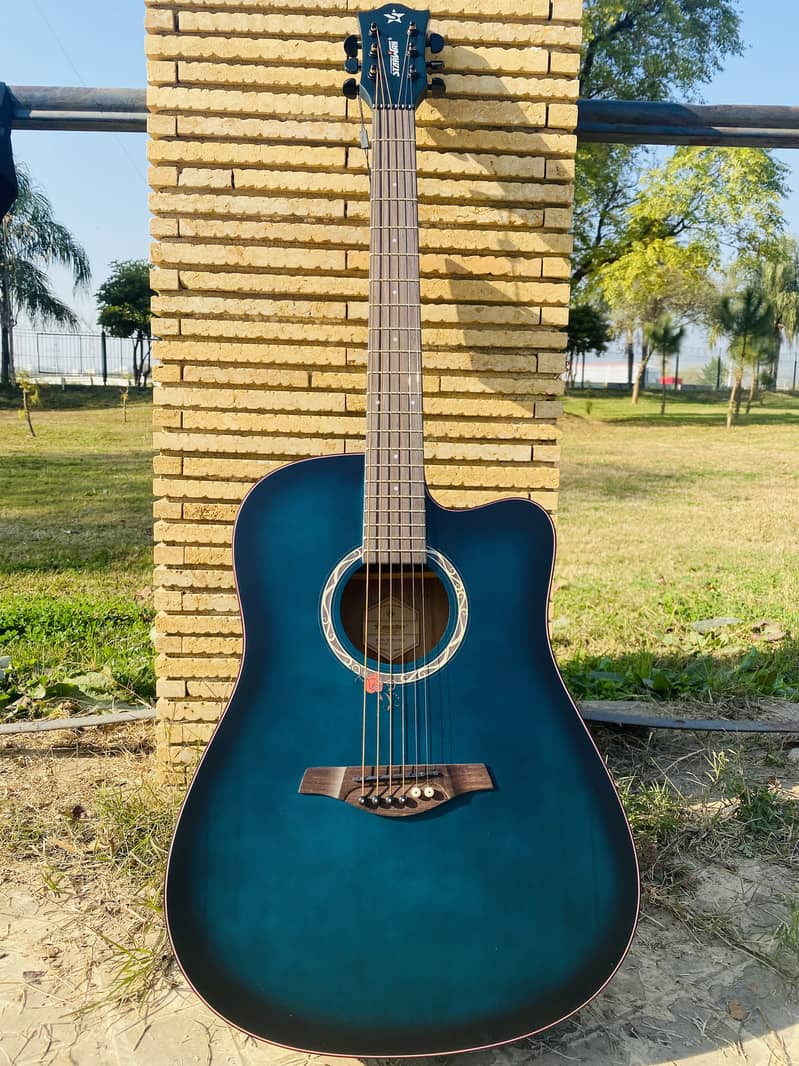 Guitars Acoustic Bignners Professhional Acoustic /semi electric 15