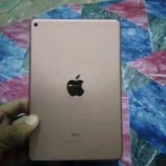 Ipad mini 5