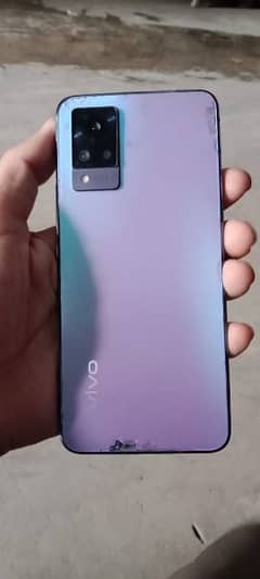 vivo