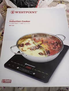 Induction Cooker