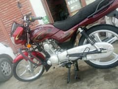 Fresh Bike Suzuki GD110 for sale