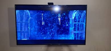 TCL 55 INCH LCD