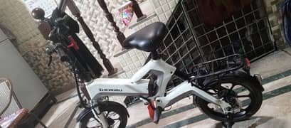 Electric bike