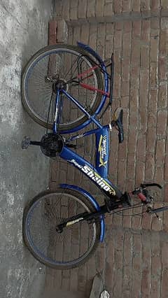 22 inches china bicycle in blue colour