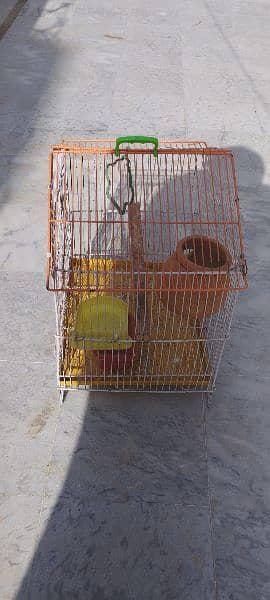 Cage for birds finch,canary, Australian,love birds 1