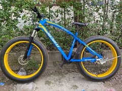 Fat tyre bicycle  Mountain bike