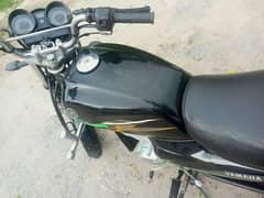 Yamaha 125 YBZ 2021 Model for urgent sell 0