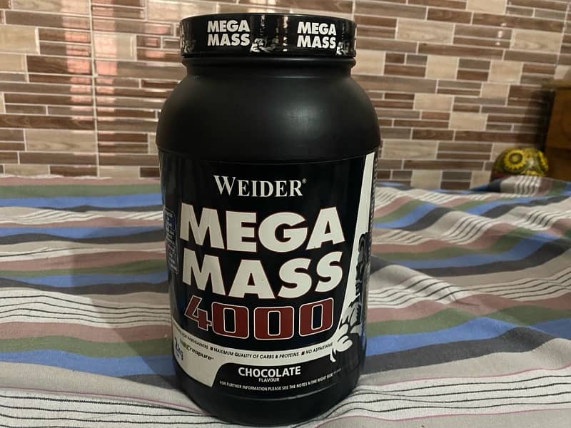 Protein powder and mass gainer 1