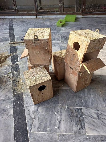 birds cage and breading boxes 3