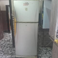 300LTR Fridge on sale