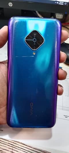 Vivo