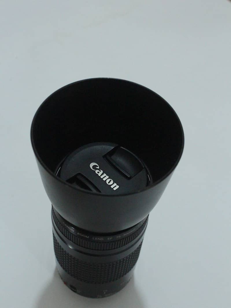 Canon 75-300mm Lens with Lens Hood | Made in Japan | Excellent Cnditon 1