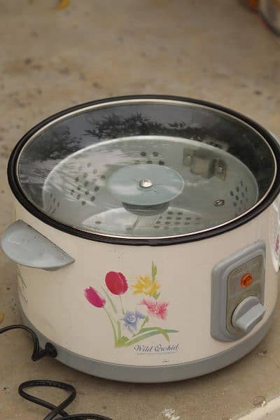 Deep Fryer 2