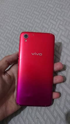 vivo