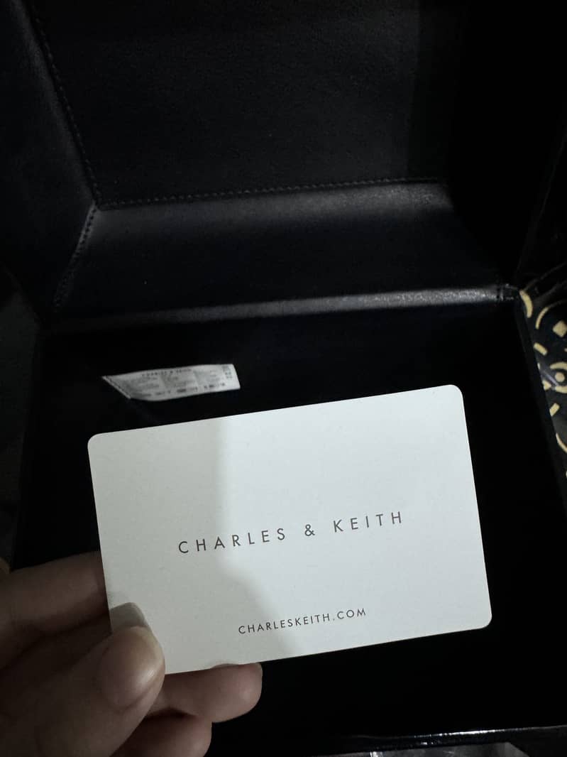 Charles & Keith clutch 5