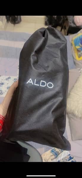 Aldo bag 1