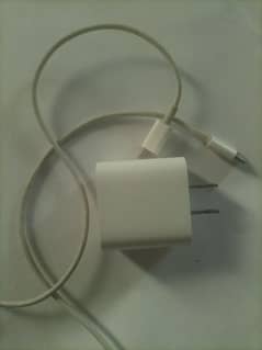 Iphone charger