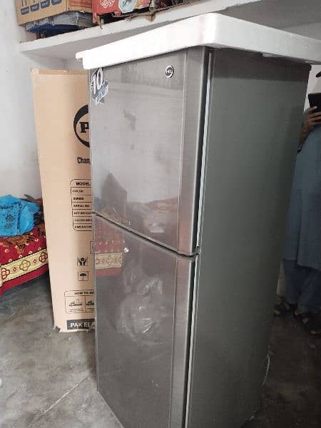 PEL refrigerator 2350CG 4