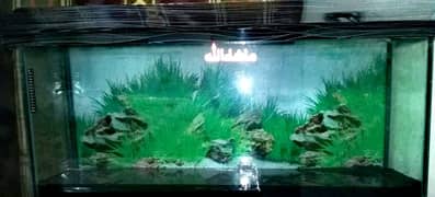 Aquarium For Sale Excellent Condition