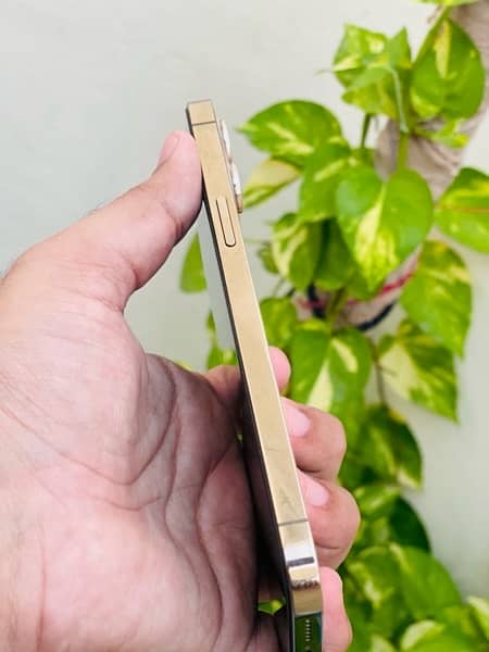 Iphone 12 Pro Max 128GB Gold Non PTA 8