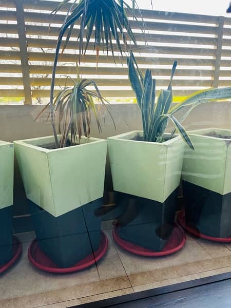 plant pots 3