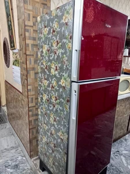 Haier refrigerator 7