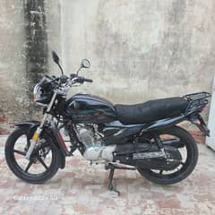 YAMAHA YBZ-DX BLACK COLOUR