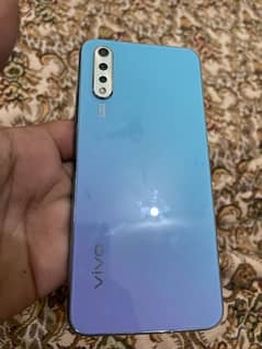 vivo