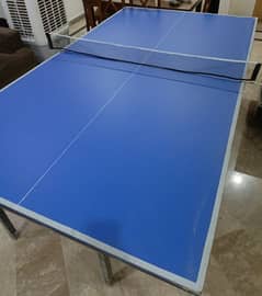 Table Tennis Table