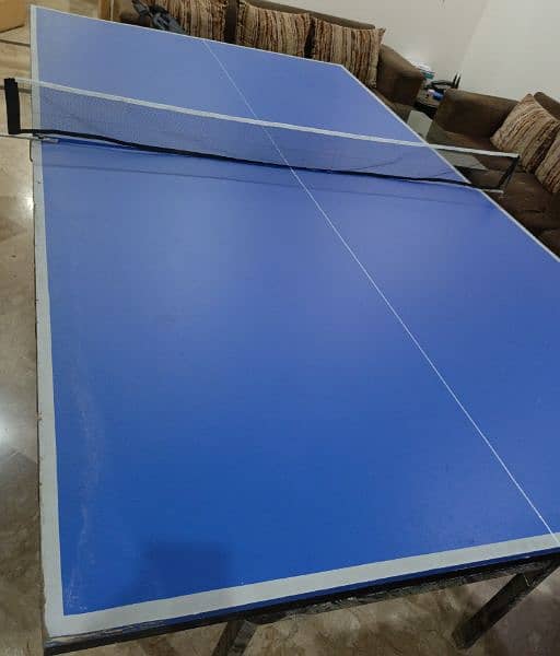 Table Tennis Table 6