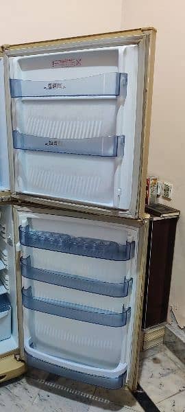 PEL Full Size Fridge For Sale 1