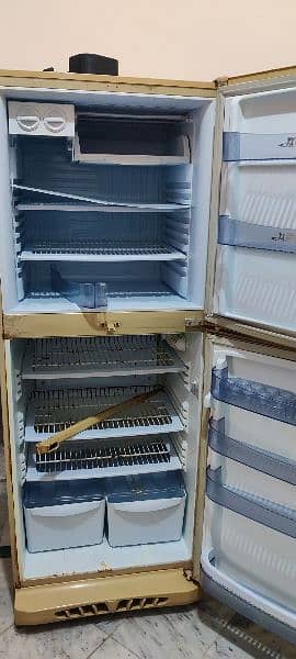 PEL Full Size Fridge For Sale 2