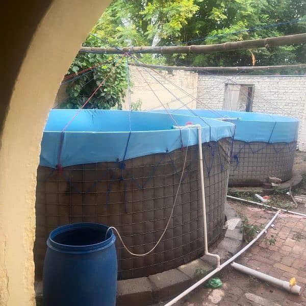 fish farming at home tank 0