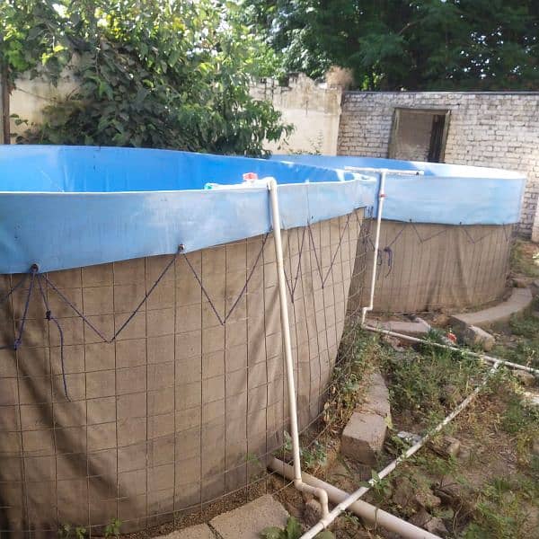 fish farming at home tank 5