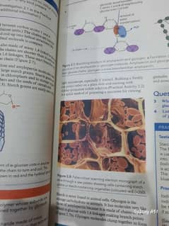 Chemistry and Biology A level Books