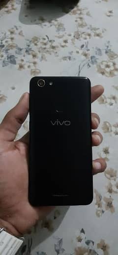 vivo